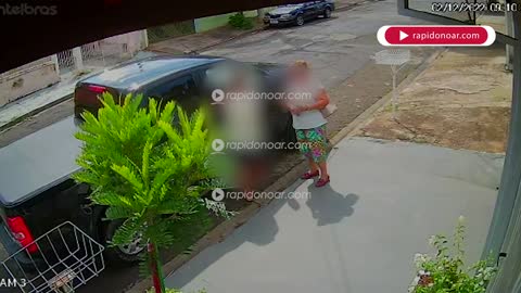 Vídeo mostra roubo de camionete no Parque Hipólito em Limeira