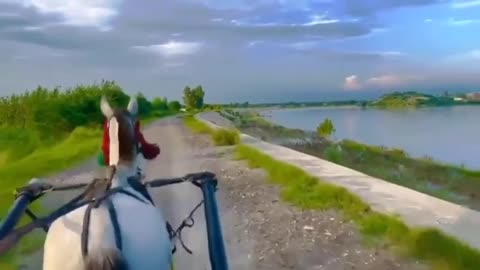 Galloping Through Meadows: A Horse Rider's Journey"