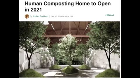 WARNlNG- AS IF YOU NEEDED ANOTHER REASON TO NEVER EAT MCDONALDS