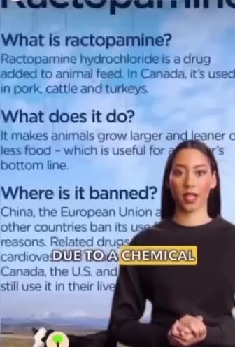 American food banned in other countries.