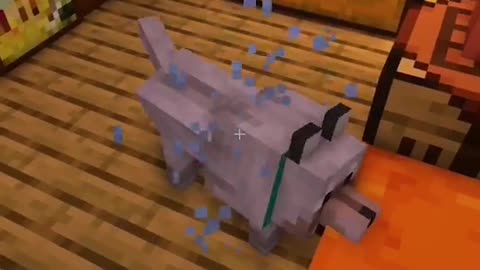 Dog Door in Minecraft