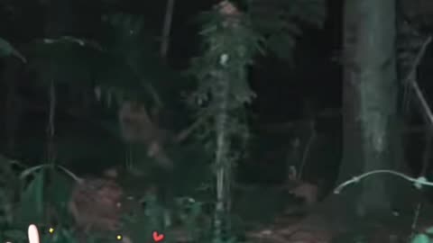 Ghost on camera paranormal activity part 136