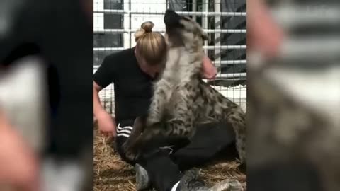 Animals are better than people #16