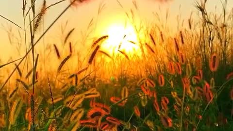 The setting sun makes the scenery beautiful
