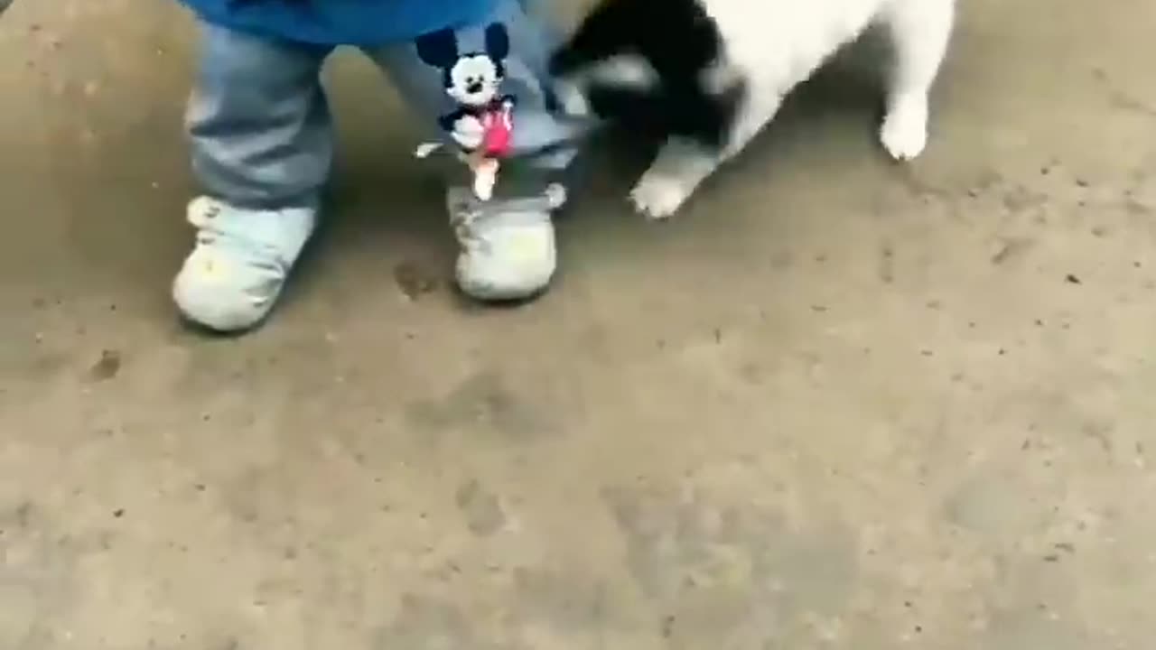 cute baby and puppy #shorts #cutebaby #puppy #funnybaby