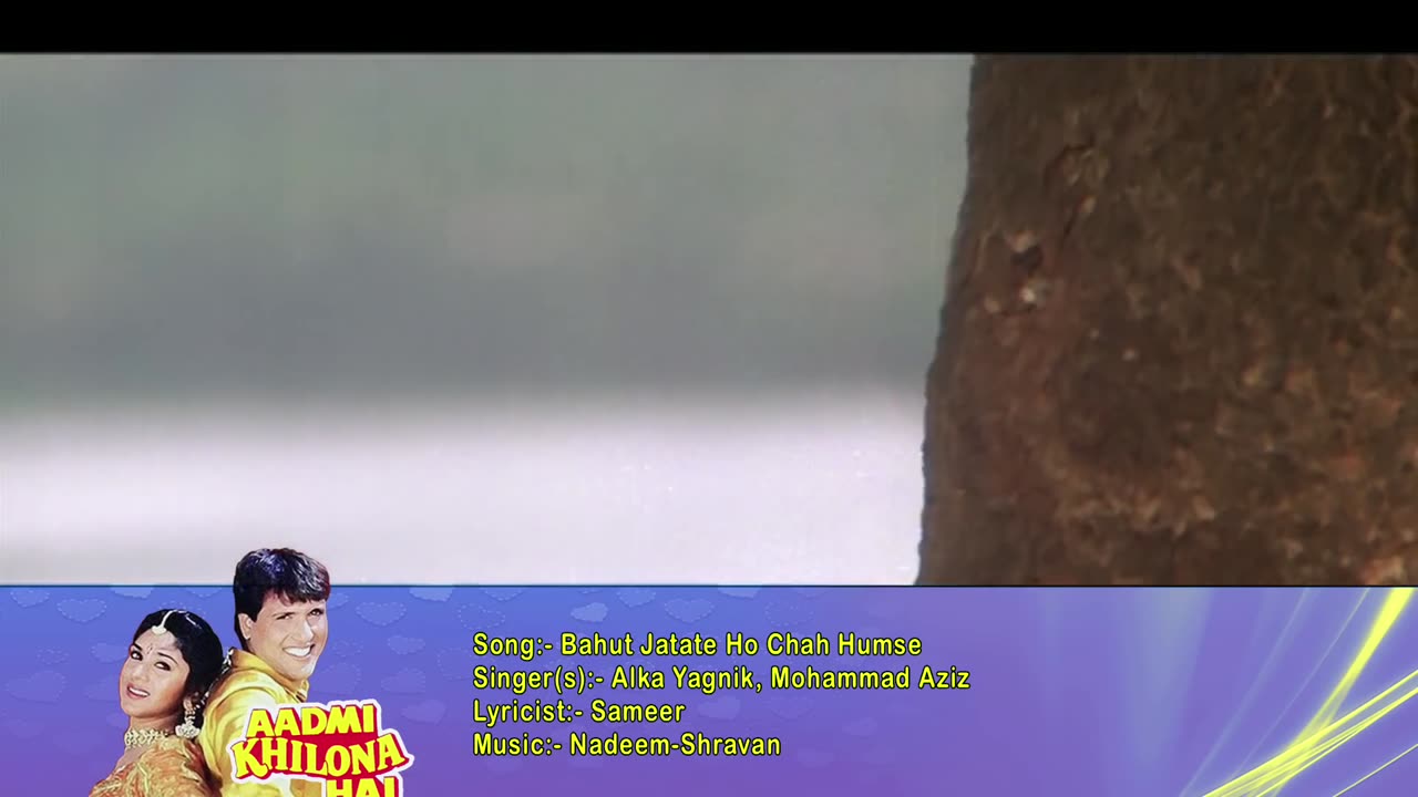 Bahut Jatate Ho Chah Humse - Alka Yagnik, Mohammad Aziz - Aadmi Khilona Hai 1993 Songs - Govinda