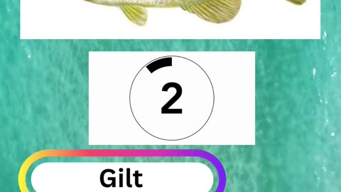 Fish Frenzy 17 A fast-paced quiz