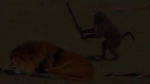 Funny Animals That Will Definitely Brighten Your Day