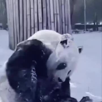 Always try to be young at heart 😍😍