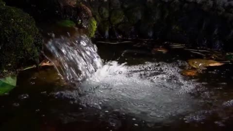 Musica Calma Para Dormir E Relaxar Rapido Com Muitas Aguas