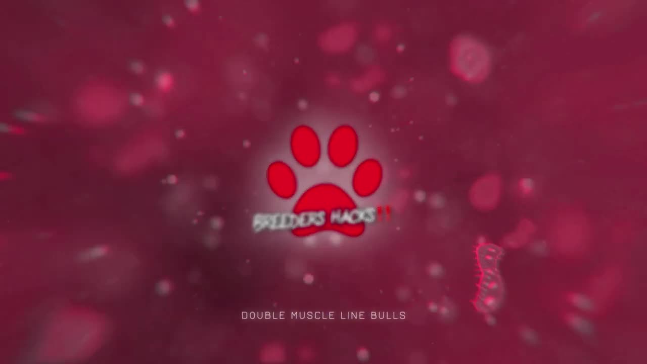 Receiving shipped semen for a Breeding!