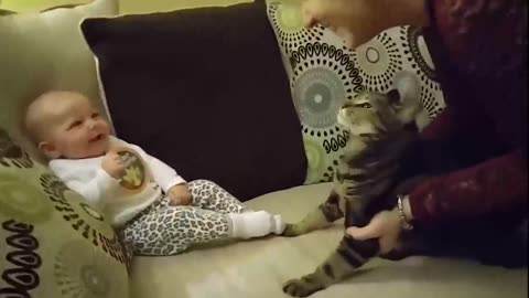 Babies and Cats funny Compilation