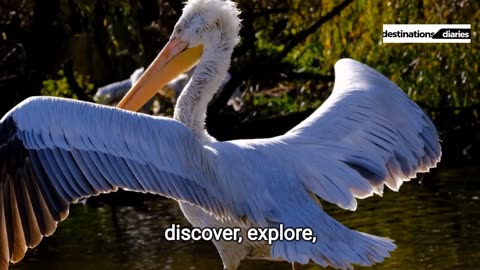 "Miami Uncovered: Unveiling the Astonishing Tourist Destinations!"