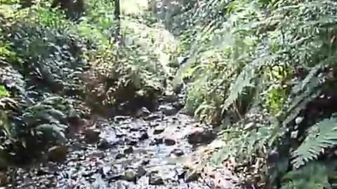 Japan suburban landscape.Somewhere in the little mountain stream