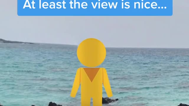 TikToks from https://www.tiktok.com/