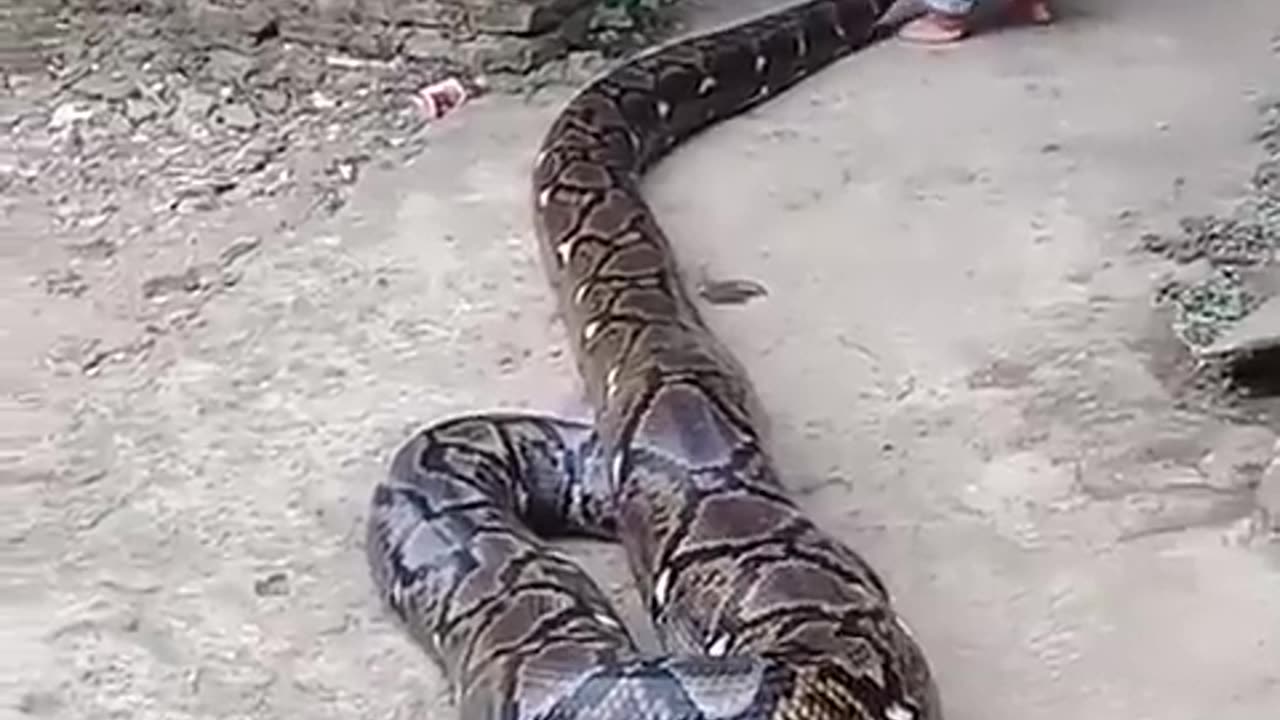 Nice video