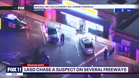 K9 tackles pursuit suspect