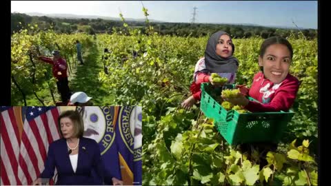 What Did Pelosi Just Say About Immigrants?