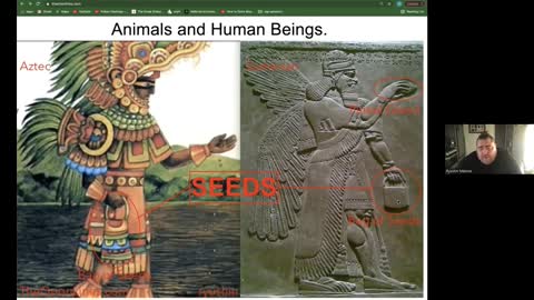 Alien Agendas, The Orion Lines, Alien Species - Ryushin Malone