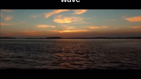 Alan Watts