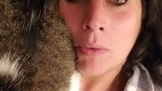 Amanda Grace Talks...Sadie thinks I am a pillow!!!!! (I could not keep a straight face)