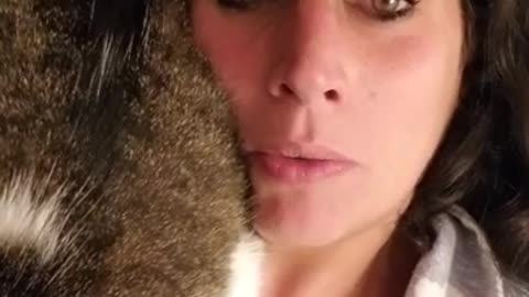 Amanda Grace Talks...Sadie thinks I am a pillow!!!!! (I could not keep a straight face)