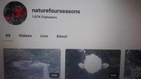 Anniversary: ​​Naturefourseasons channel is 1 year old