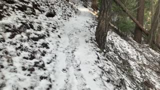 Hiking Up the Snowy Forest – Whychus Creek – Central Oregon