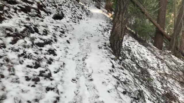 Hiking Up the Snowy Forest – Whychus Creek – Central Oregon