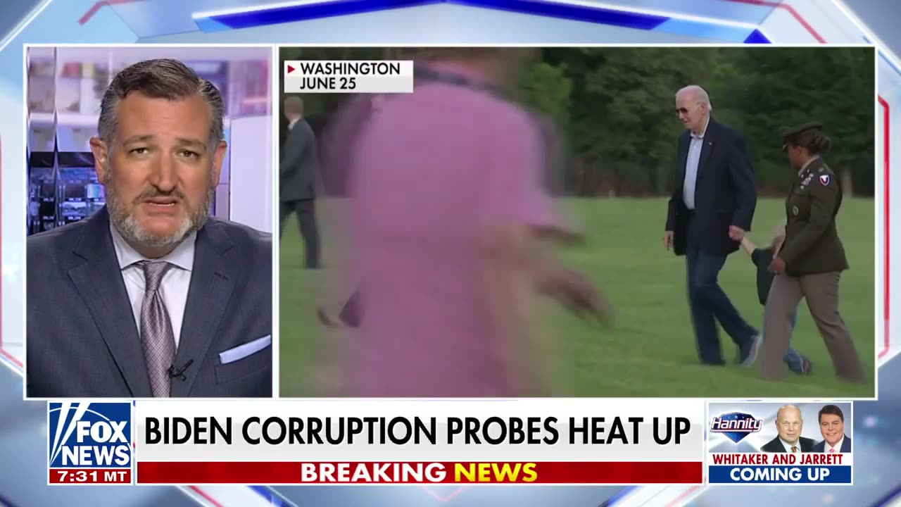 This was designed to get Hunter ‘zero jail-time’ and protect the 'big guy' : Sen. Ted Cruz