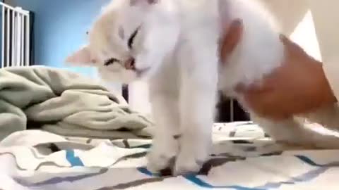 Let me alone! I'm tired