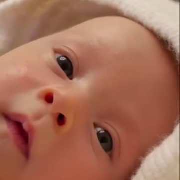 Are Identical Twins Grandparents To Each Other?