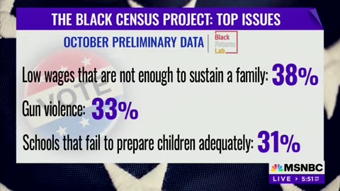 BLM Co-Founder Warns Dems Over 2024