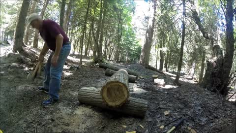 Felling cotton hut logs