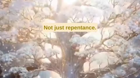 The Beautiful Offer From Allah SWT... #muftimenk #emanchannel #islam #islamic #islamicvideo