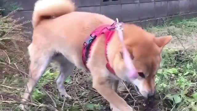 "I don't believe I can't conquer you"