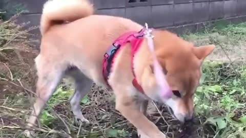 "I don't believe I can't conquer you"