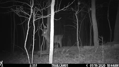 8 point buck.. Nice!
