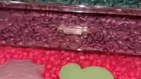 Episode 2 wax maltes asmr