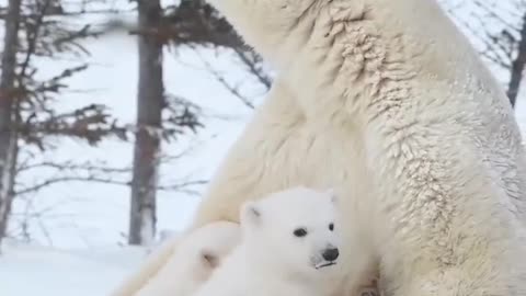 The world is crazy sometimes you just need a mama's hug.⁣