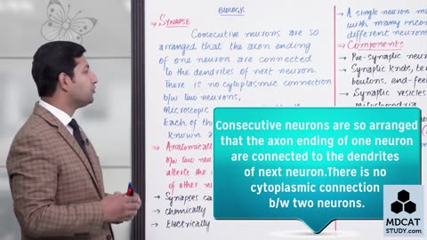 LEC#12 SYNAPSE