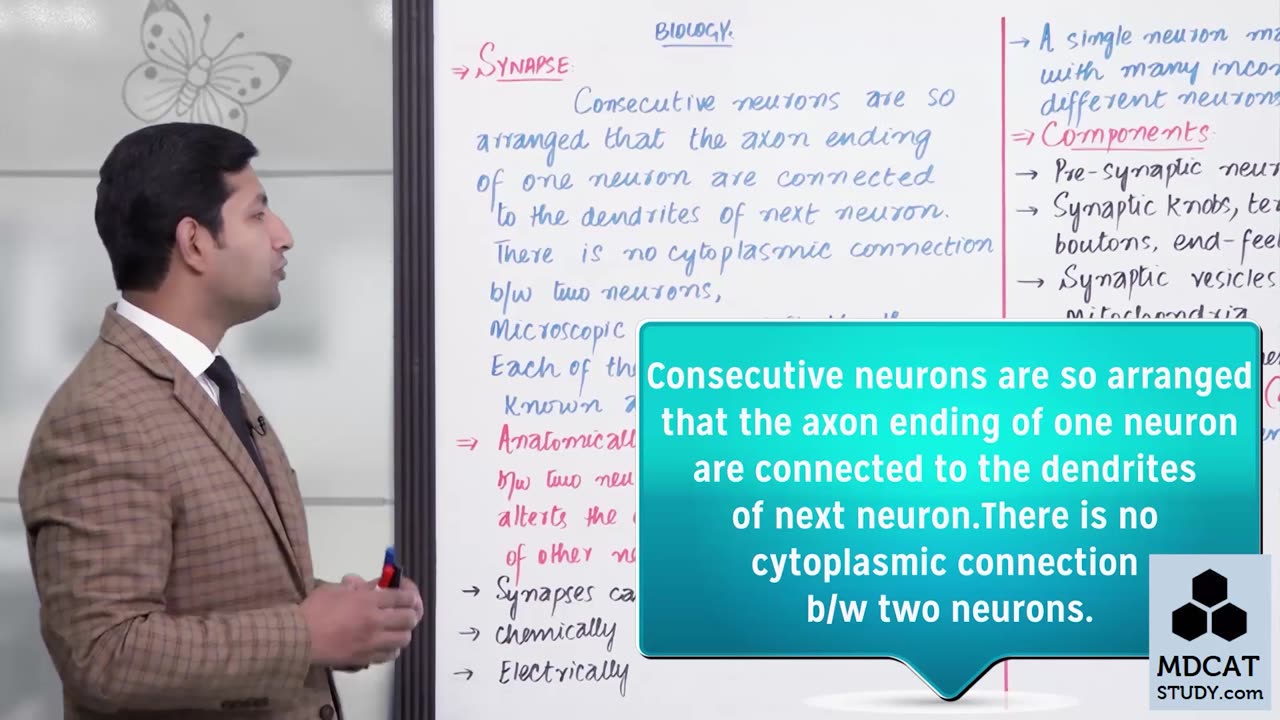LEC#12 SYNAPSE