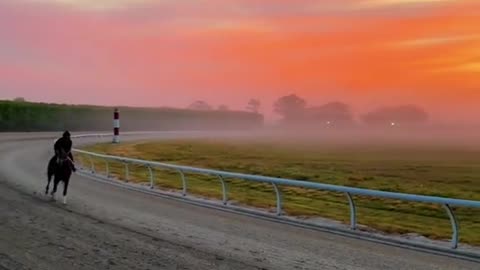 Horse ride with sunset