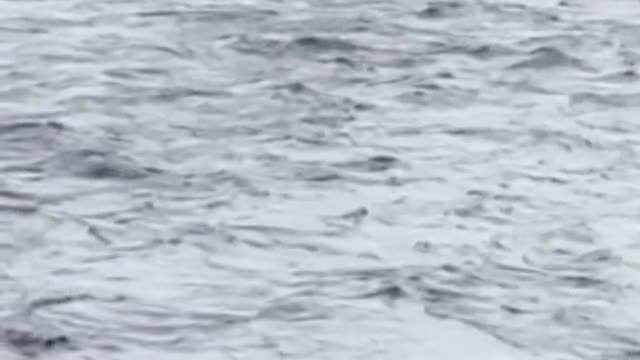 Part of the bank, just slivers, just started coming off, and we knew immediately,