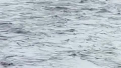 Part of the bank, just slivers, just started coming off, and we knew immediately,