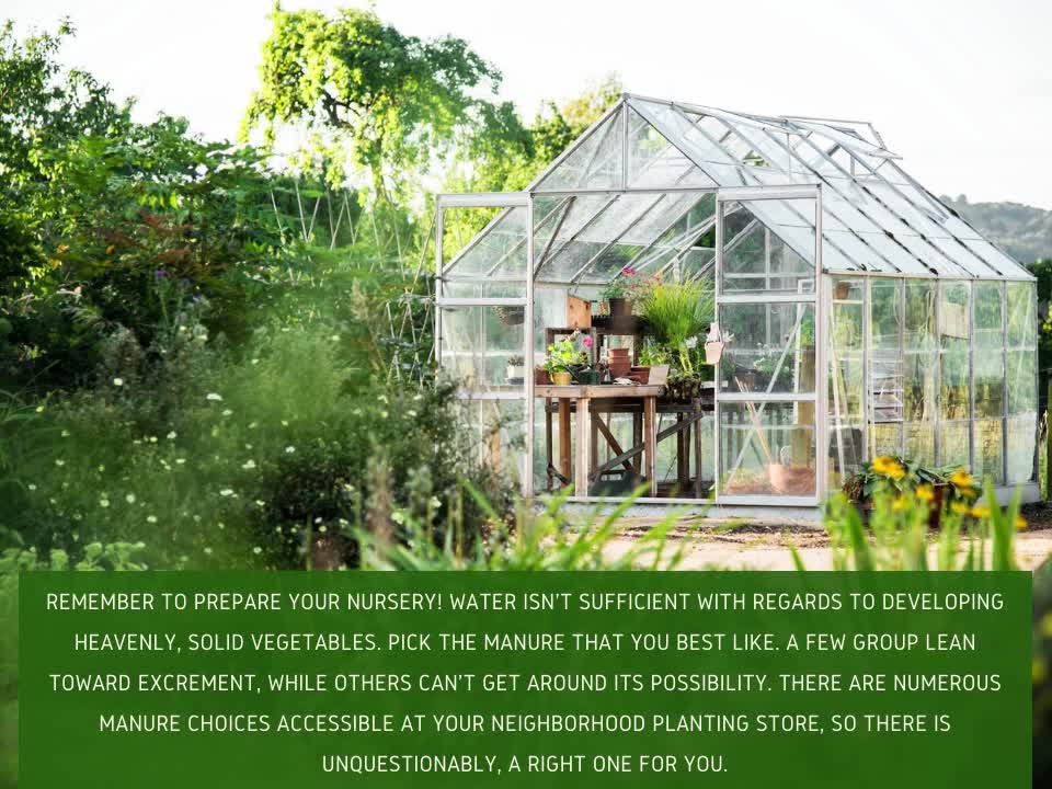 Tom Salzano - Advice for Growing a Better Organic Garden
