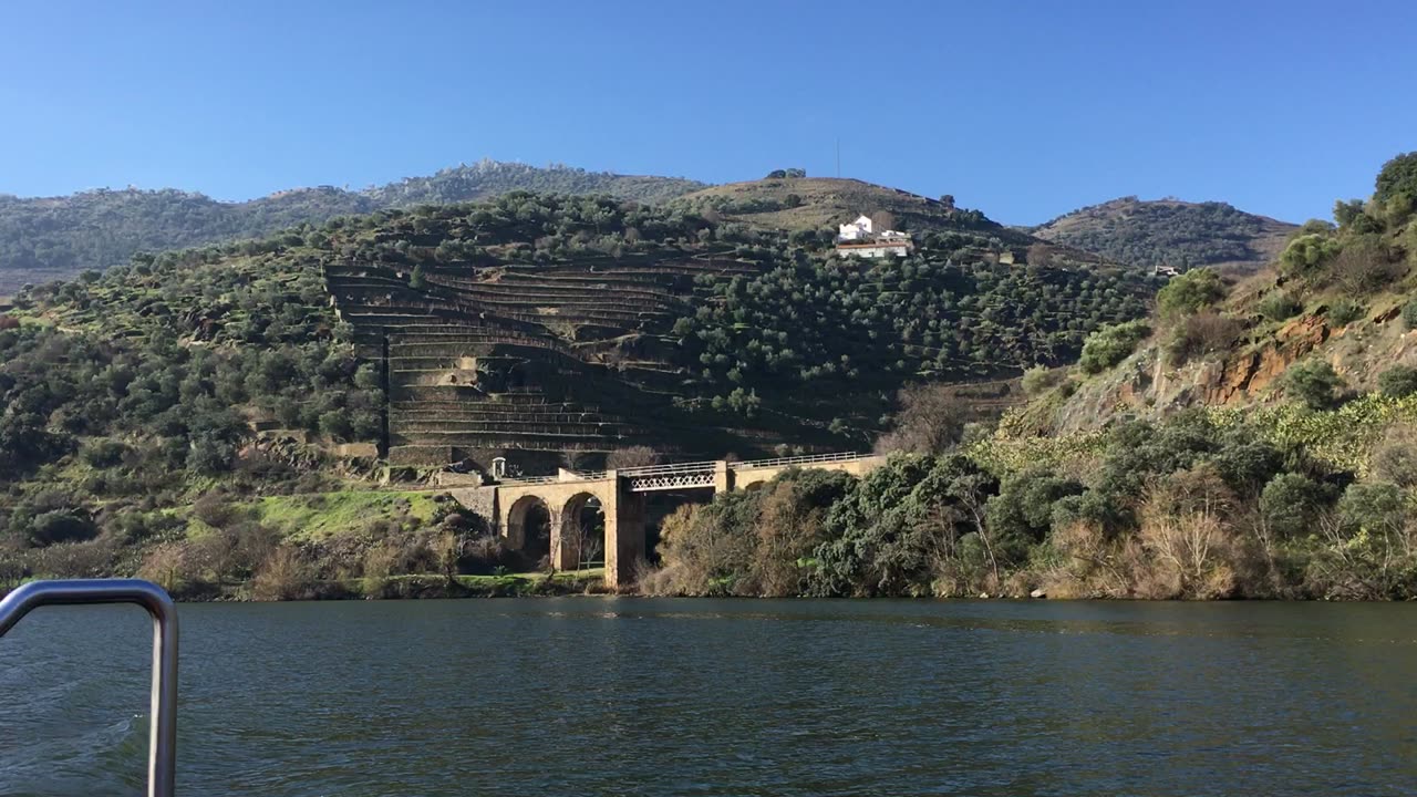 Boat Tour on Douro River (Pinhao, Alto Douro, Portugal) 6