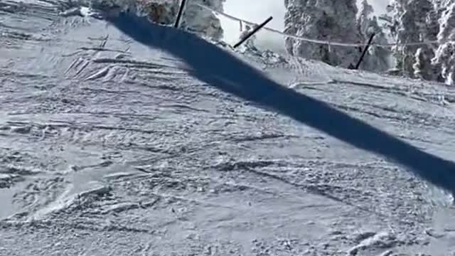 This is the skiing I've been waiting for all year
