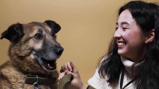 Cute Dogs are Best Friends