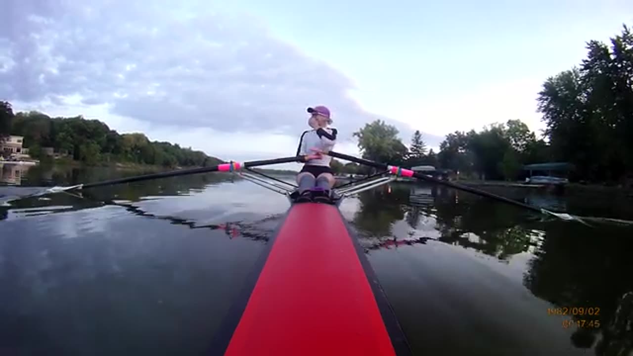 Goose Retaliates After Contact With Rower